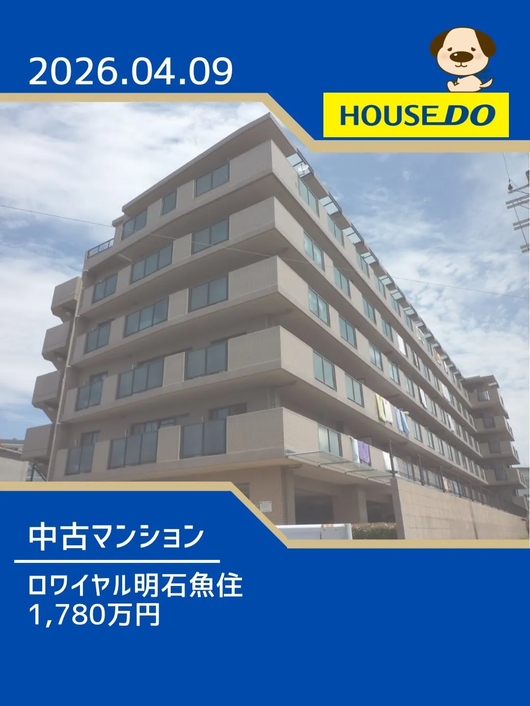 錦浦小学校区 新規物件