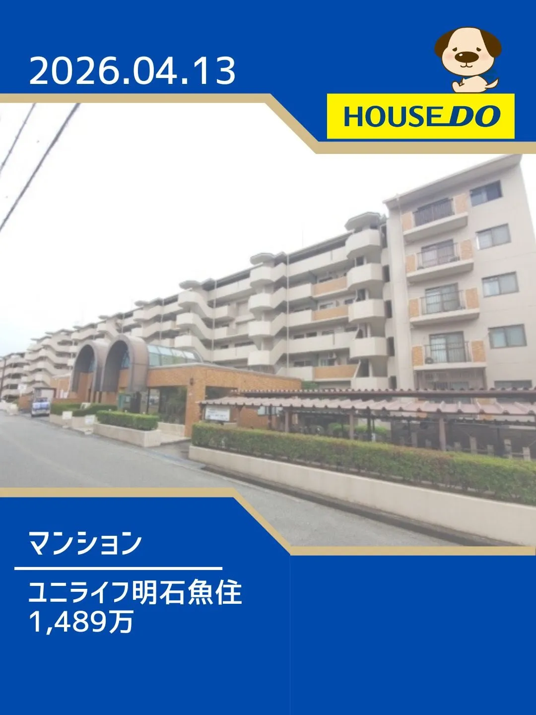 錦が丘小学校区 新規物件