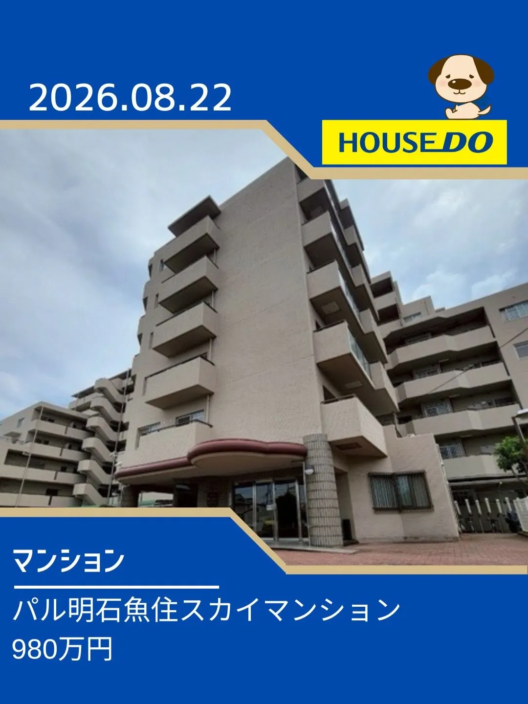 錦浦小学校区　新規物件
